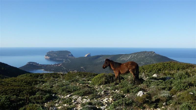Rita B&B Sea Sun And Nature Santa Maria la Palma Eksteriør billede